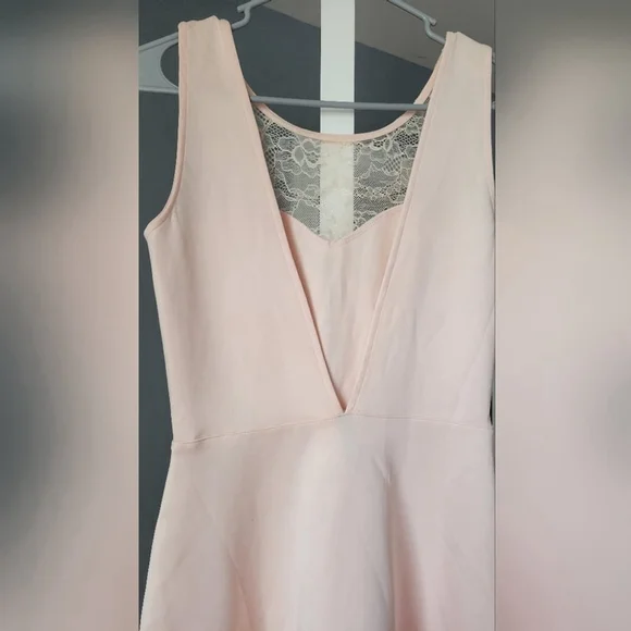 Blush Pink Lace Fit & Flare Skater Dress - Picture 6 of 6